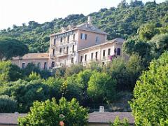 183 D23 BORMES LES MIMOSAS 1_000051